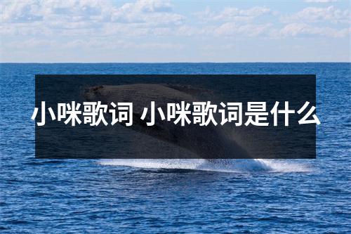 小咪歌词 小咪歌词是什么