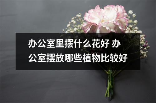 办公室里摆什么花好 办公室摆放哪些植物比较好