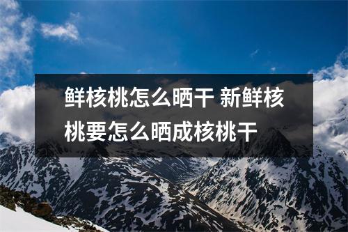 鲜核桃怎么晒干 新鲜核桃要怎么晒成核桃干