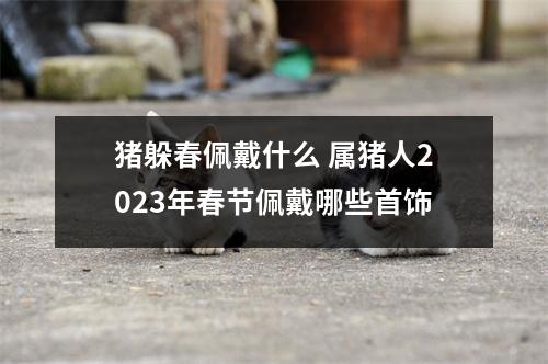 猪躲春佩戴什么 属猪人2023年春节佩戴哪些首饰