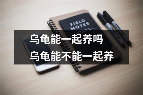 乌龟能一起养吗 乌龟能不能一起养