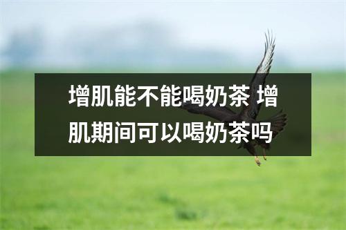 增肌能不能喝奶茶 增肌期间可以喝奶茶吗