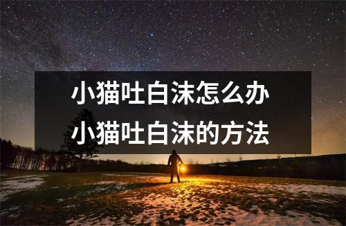 小猫吐白沫怎么办 小猫吐白沫的方法