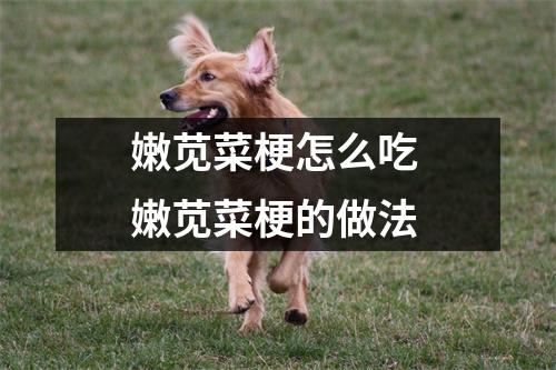 嫩苋菜梗怎么吃 嫩苋菜梗的做法