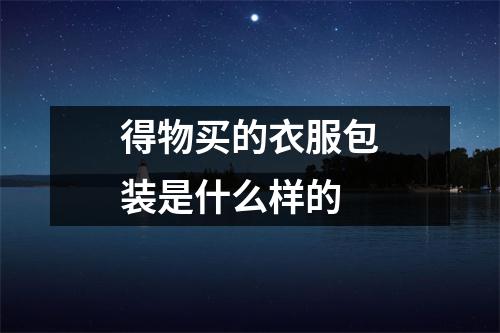 得物买的衣服包装是什么样的