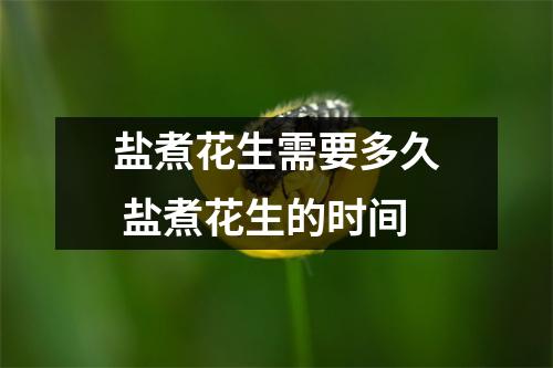 盐煮花生需要多久 盐煮花生的时间