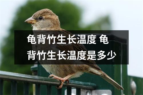 龟背竹生长温度 龟背竹生长温度是多少