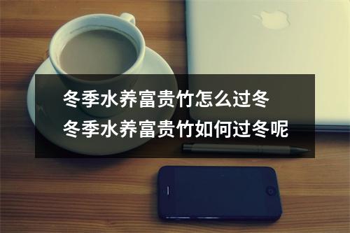 冬季水养富贵竹怎么过冬 冬季水养富贵竹如何过冬呢