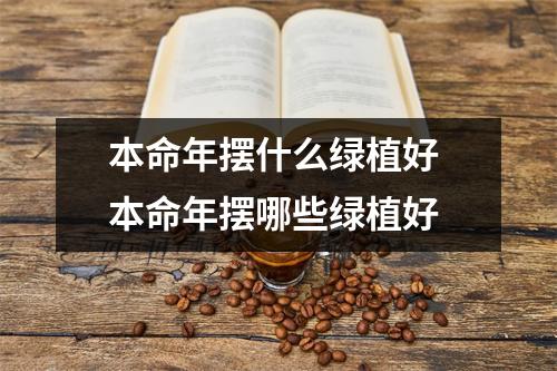 本命年摆什么绿植好 本命年摆哪些绿植好