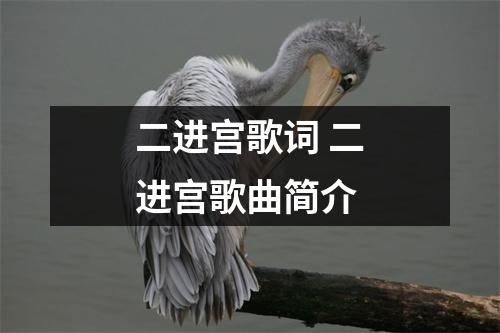 二进宫歌词 二进宫歌曲简介