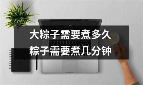 大粽子需要煮多久 粽子需要煮几分钟