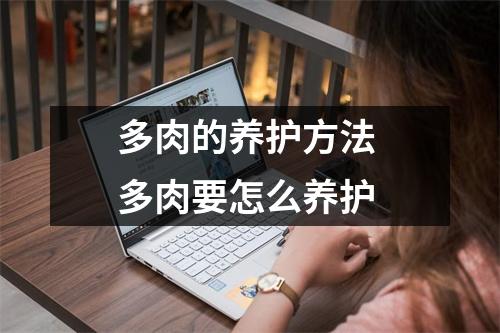 多肉的养护方法 多肉要怎么养护