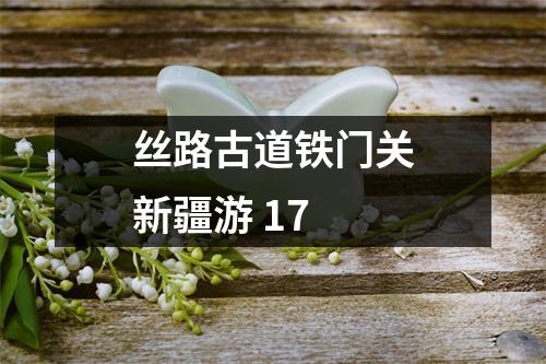 丝路古道铁门关新疆游 17 丝路古道铁门关新疆游 17