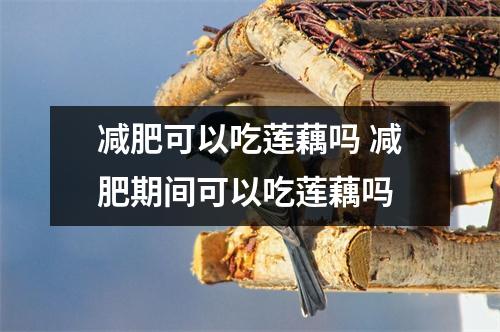 减肥可以吃莲藕吗 减肥期间可以吃莲藕吗