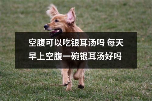 空腹可以吃银耳汤吗 每天早上空腹一碗银耳汤好吗