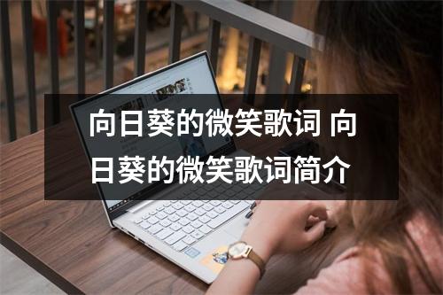 向日葵的微笑歌词 向日葵的微笑歌词简介