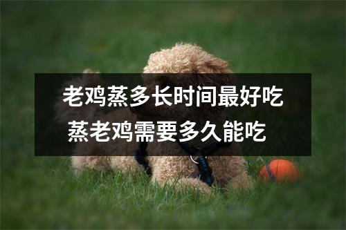 老鸡蒸多长时间最好吃 蒸老鸡需要多久能吃