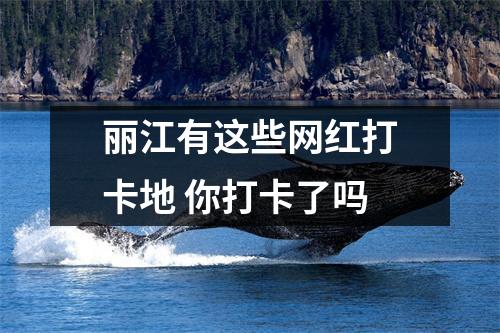 丽江有这些网红打卡地 你打卡了吗