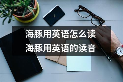 海豚用英语怎么读 海豚用英语的读音