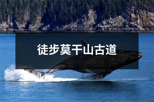 徒步莫干山古道