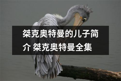 桀克奥特曼的儿子简介 桀克奥特曼全集