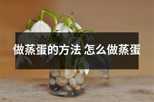 做蒸蛋的方法 怎么做蒸蛋