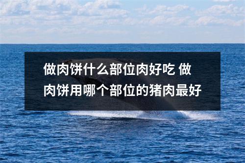 做肉饼什么部位肉好吃 做肉饼用哪个部位的猪肉最好