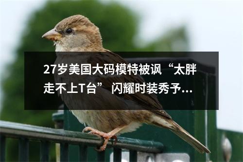 27岁美国大码模特被讽“太胖 走不上T台” 闪耀时装秀予以反击