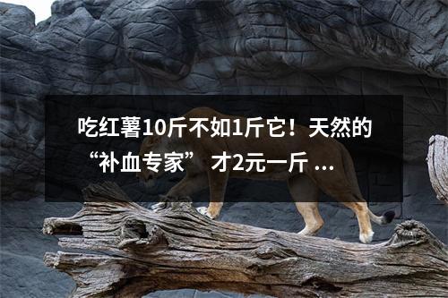 吃红薯10斤不如1斤它！天然的“补血专家” 才2元一斤 烙饼最香