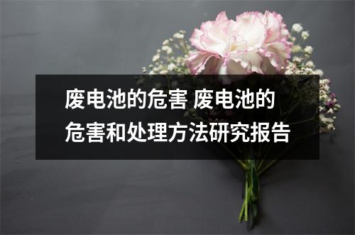 废电池的危害 废电池的危害和处理方法研究报告
