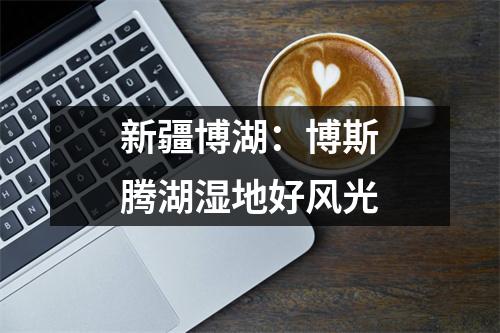 新疆博湖：博斯腾湖湿地好风光