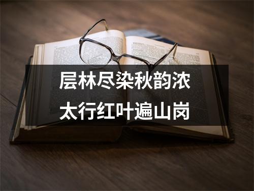 层林尽染秋韵浓 太行红叶遍山岗