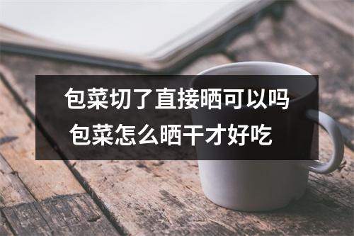 包菜切了直接晒可以吗 包菜怎么晒干才好吃