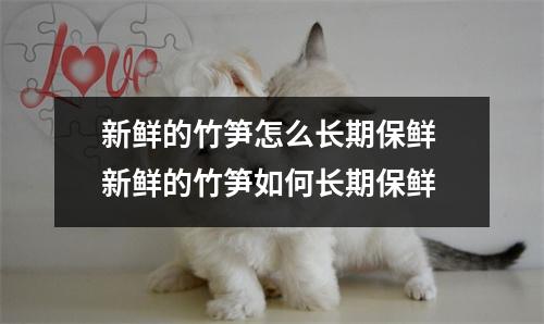 新鲜的竹笋怎么长期保鲜 新鲜的竹笋如何长期保鲜