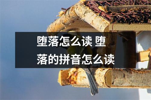 堕落怎么读 堕落的拼音怎么读