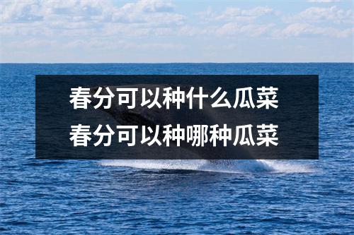 春分可以种什么瓜菜 春分可以种哪种瓜菜