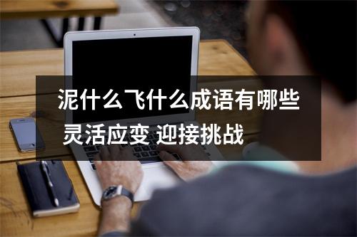泥什么飞什么成语有哪些 灵活应变 迎接挑战