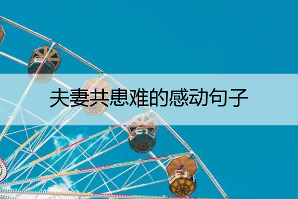 夫妻共患难的感动句子 夫妻共患难的话语