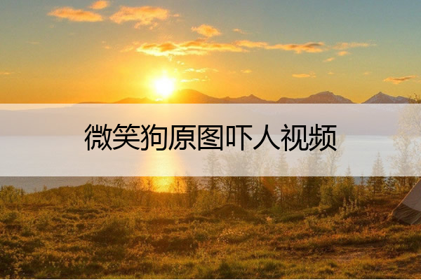 微笑狗原图吓人视频 微笑狗原图恐怖片