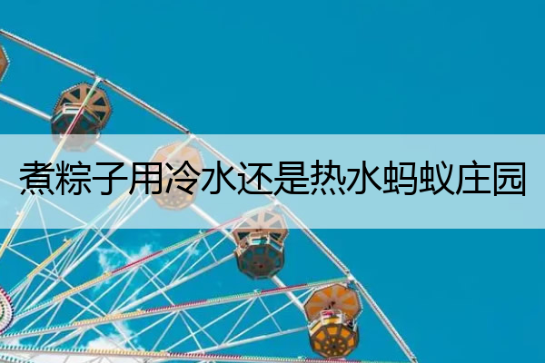 煮粽子用冷水还是热水蚂蚁庄园 煮粽子的时候用冷水还是热水