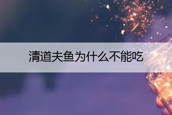 清道夫鱼为什么不能吃 清道夫鱼为什么不能吃知乎