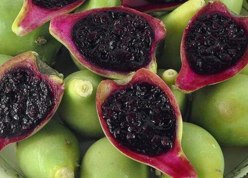 仙人掌果的功效与作用及食用方法