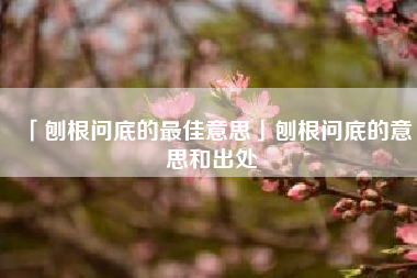  刨根问底的最佳意思刨根问底的意思和出处