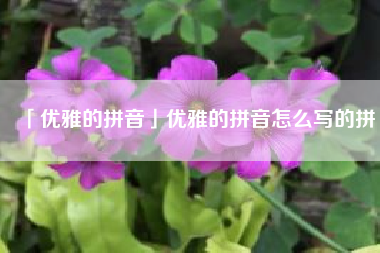  优雅的拼音优雅的拼音怎么写的拼