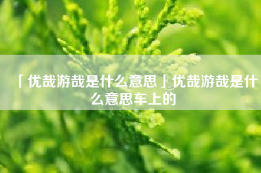  优哉游哉是什么意思优哉游哉是什么意思车上的