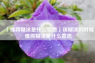  难得糊涂是什么意思该糊涂的时候难得糊涂是什么意思