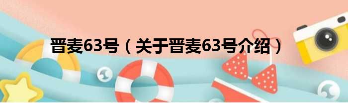 晋麦63号 关于晋麦63号介绍