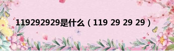 119292929是什么 119 29 29 29