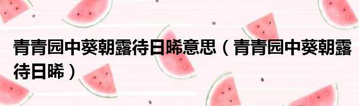 青青园中葵朝露待日晞意思 青青园中葵朝露待日晞