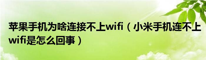 苹果手机为啥连接不上wifi 小米手机连不上wifi是怎么回事